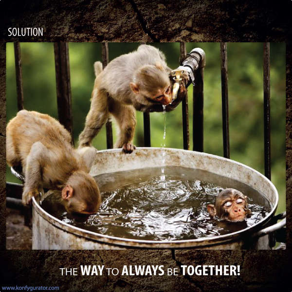 Funny pictures - the way to always be together