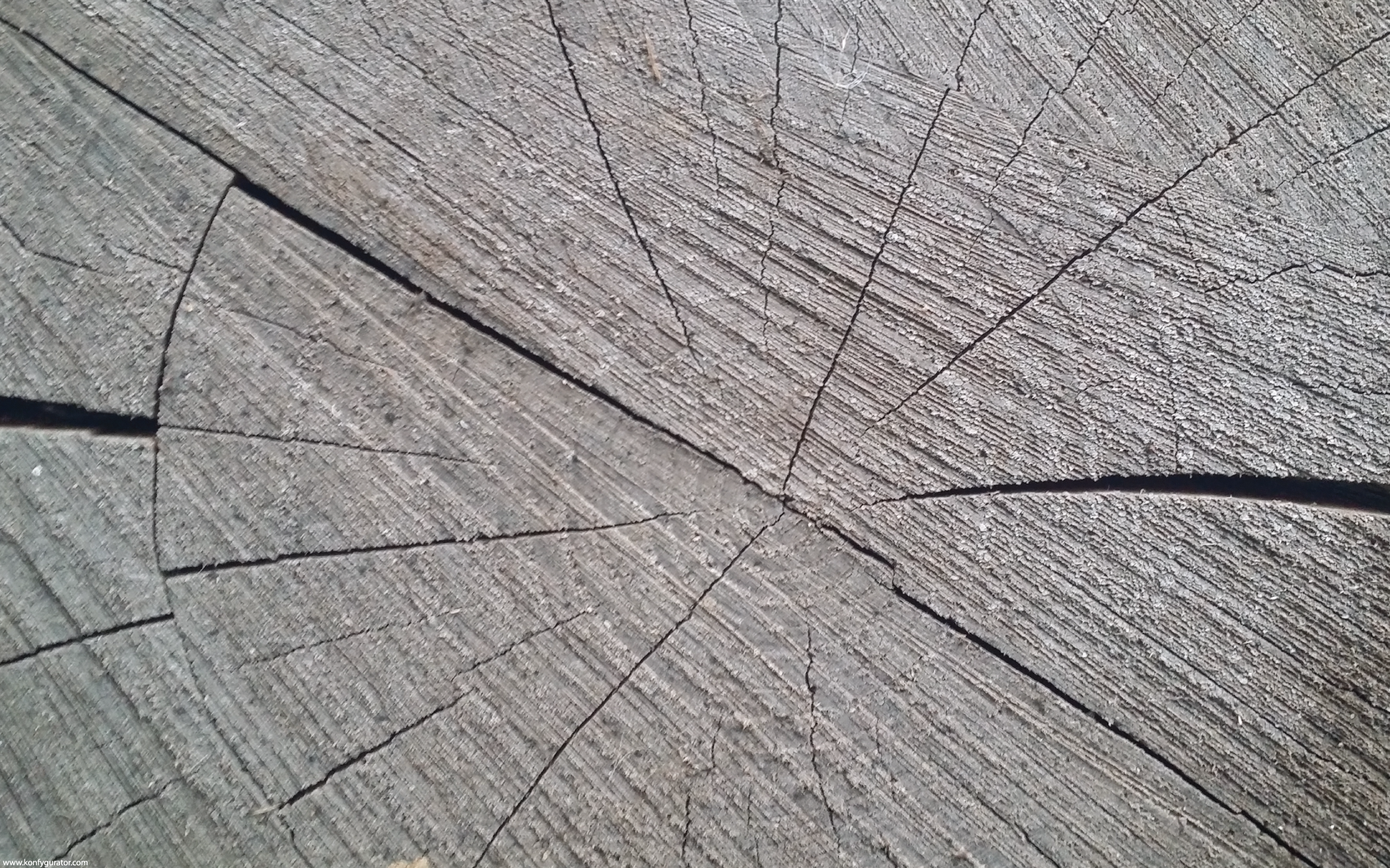 HD Wallpapers - Textures - stump, circular, lines, wood