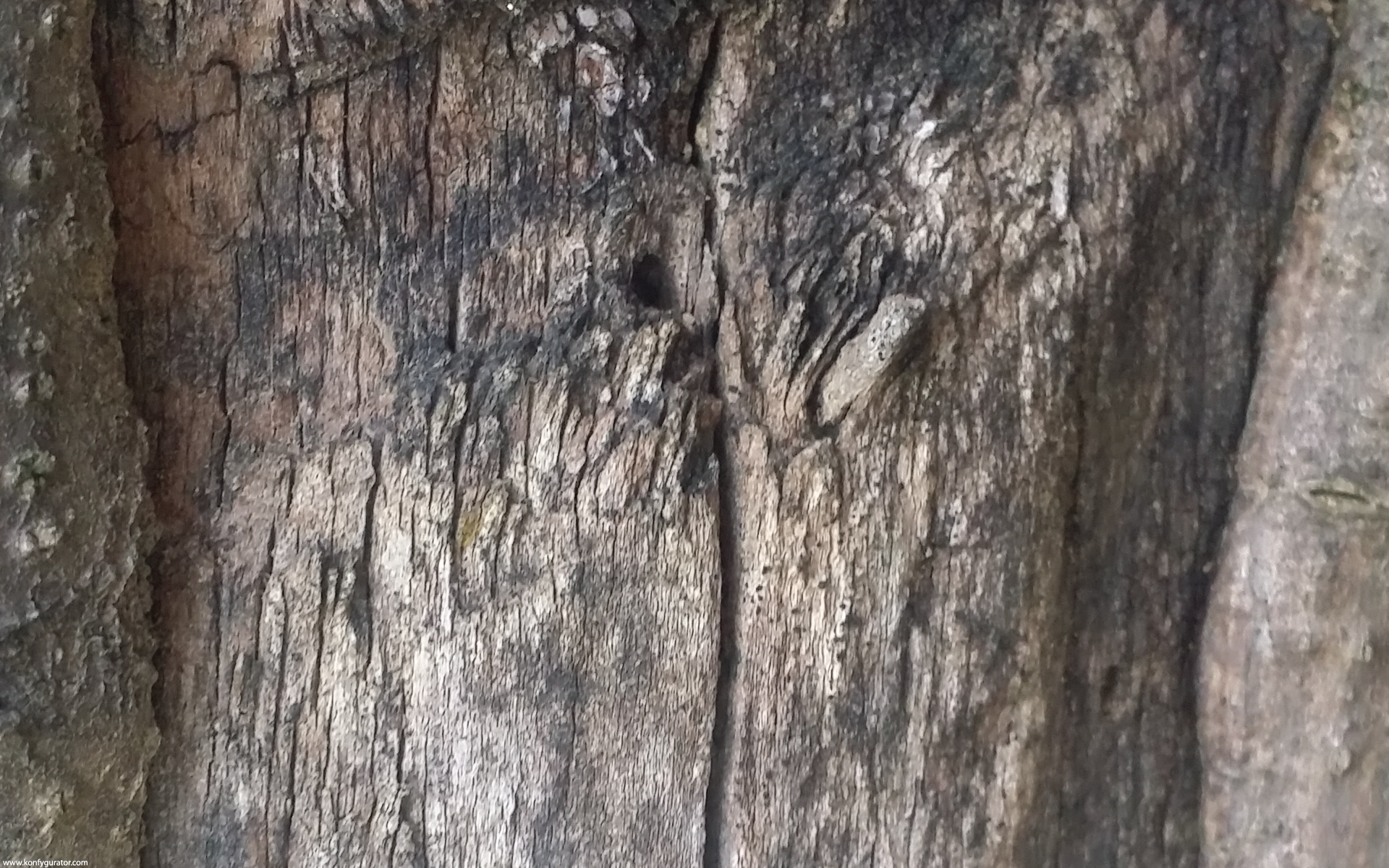 HD Wallpapers - Textures - depression, wood, old