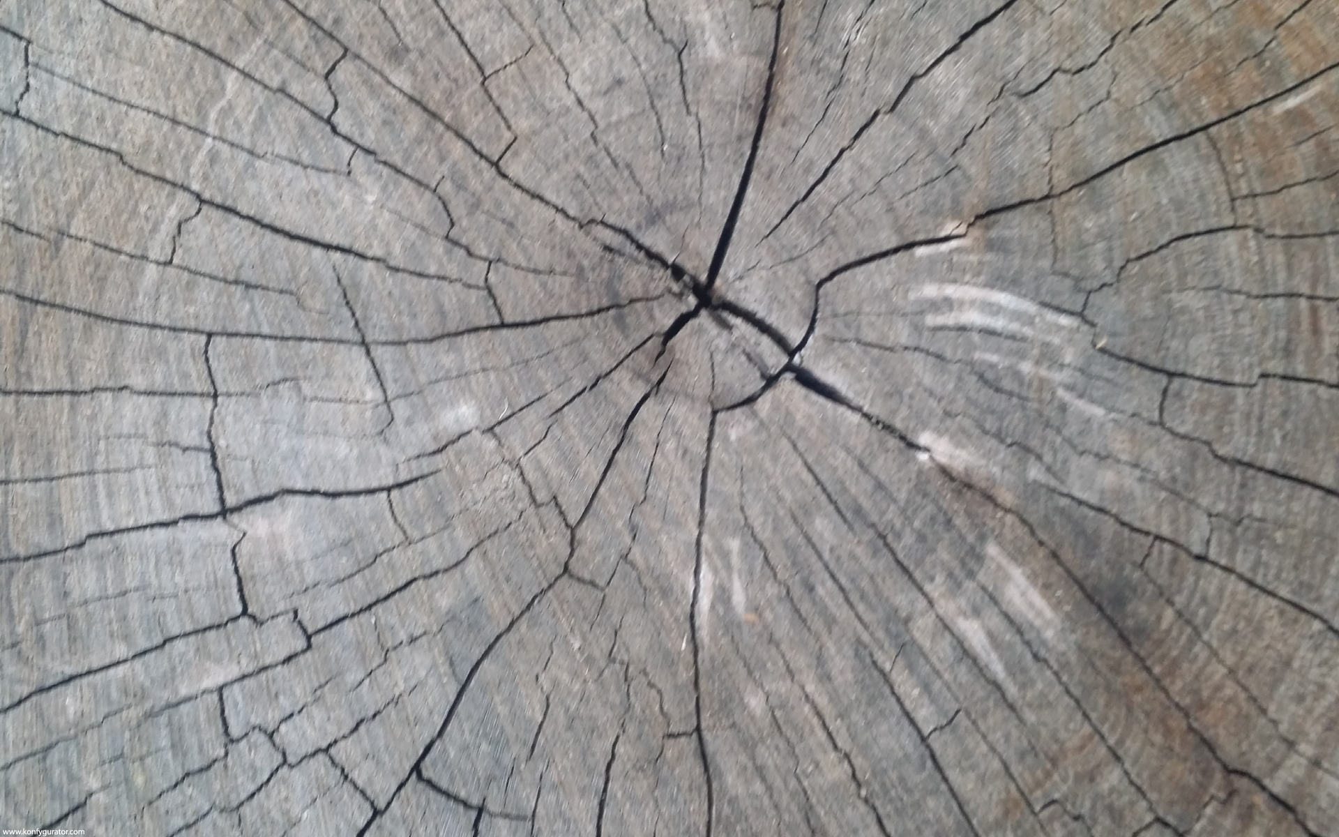 HD Wallpapers - Textures - stump, rings, wood, cracks