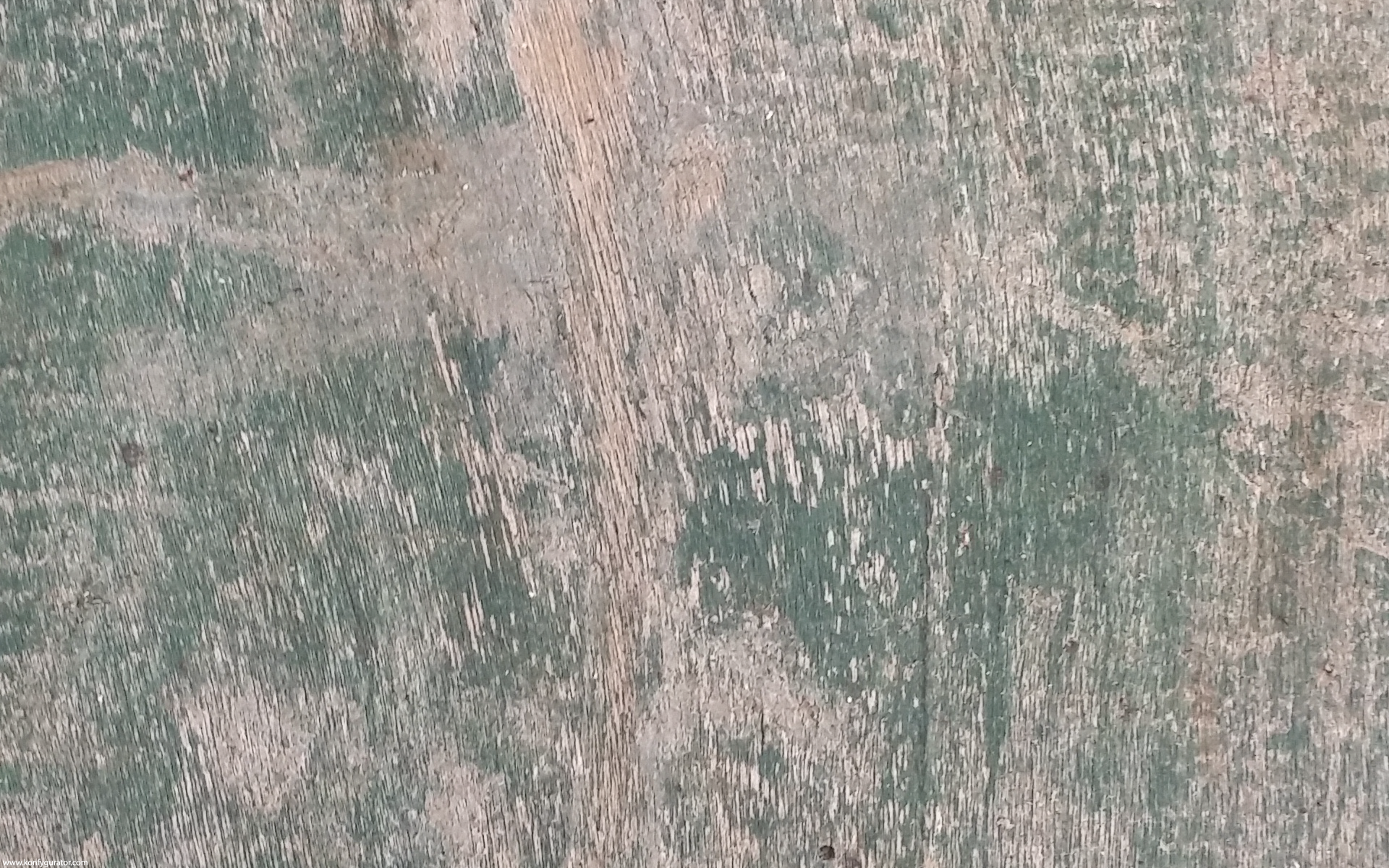 HD Wallpapers - Textures - wood, green, brown